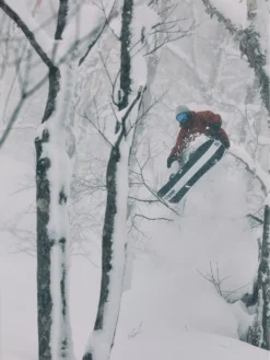 Salomon Dancehaul 147 2023 Snowboard -Blue Tomato Verkäufe Dancehaul1472023Snowboard 2