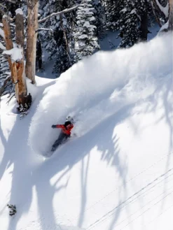 Jones Snowboards Dream Weaver 151 2023 Splitboard -Blue Tomato Verkäufe DreamWeaver1512023Splitboard 2