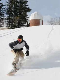 Snurfer Powder Surfer 19Drifter Powder Surfer 7 Snurfer Powder Surfer 19Drifter Powder Surfer -Blue Tomato Verkäufe PowderSurfer19DrifterPowderSurfer 2