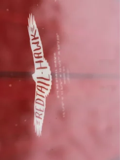 Elevated Surf Craft Redtail Hawk 5'1 / 155 2023 Snowboard 15 Elevated Surf Craft Redtail Hawk 5'1 / 155 2023 Snowboard -Blue Tomato Verkäufe RedtailHawk503911552023Snowboard 4