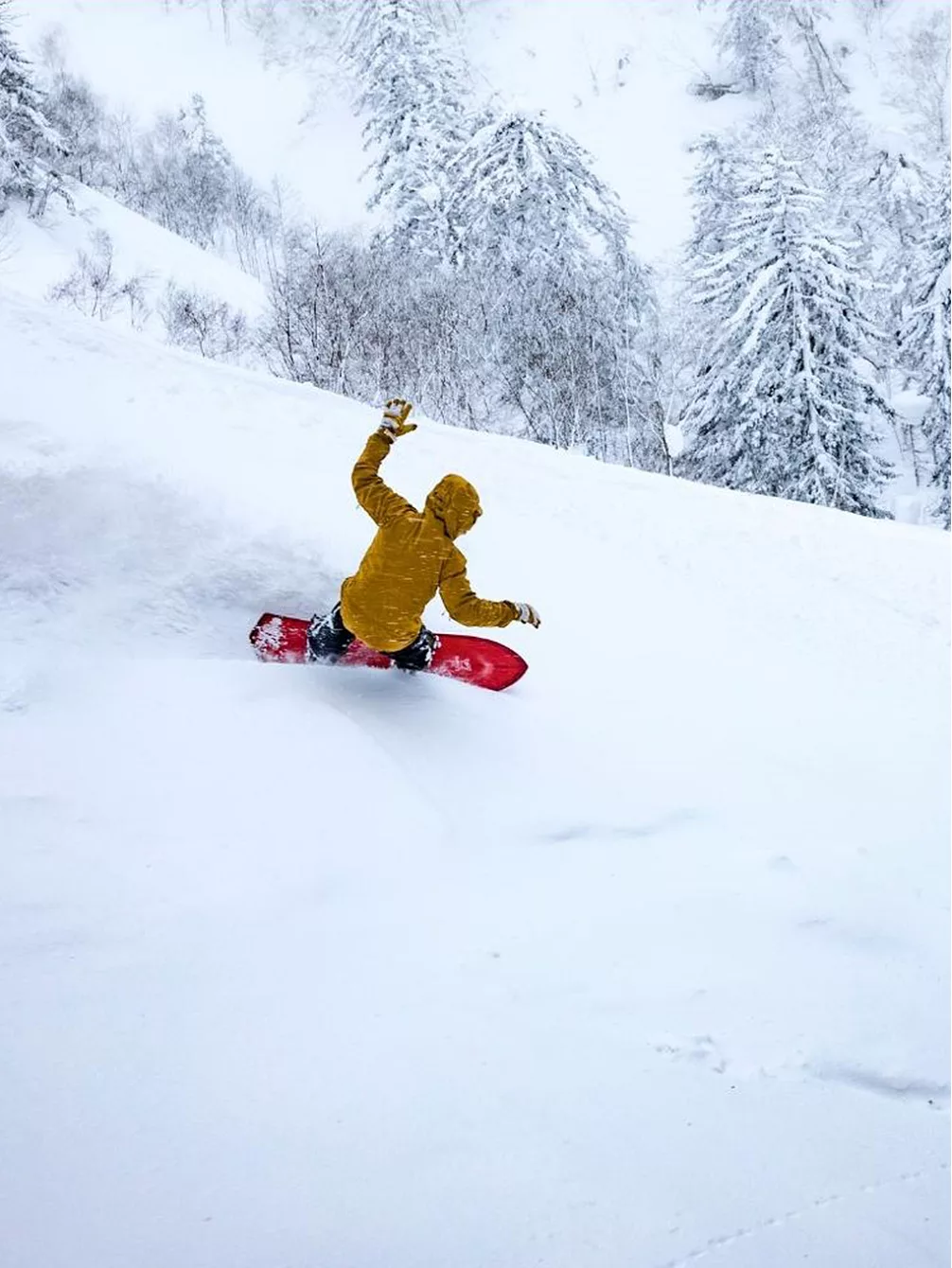 Elevated Surf Craft Redtail Hawk 5'1 / 155 2023 Snowboard 9 Elevated Surf Craft Redtail Hawk 5'1 / 155 2023 Snowboard – Bild 7