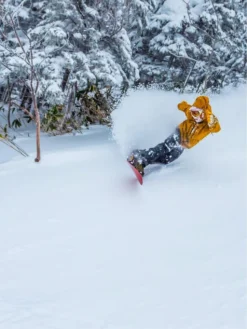 Elevated Surf Craft Redtail Hawk 5'1 / 155 2023 Snowboard 18 Elevated Surf Craft Redtail Hawk 5'1 / 155 2023 Snowboard -Blue Tomato Verkäufe RedtailHawk503911552023Snowboard 7