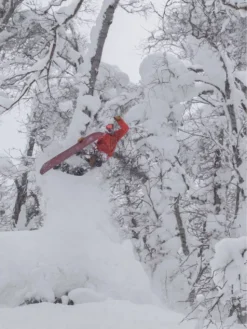 Elevated Surf Craft Redtail Hawk 5'1 / 155 2023 Snowboard 19 Elevated Surf Craft Redtail Hawk 5'1 / 155 2023 Snowboard -Blue Tomato Verkäufe RedtailHawk503911552023Snowboard 8