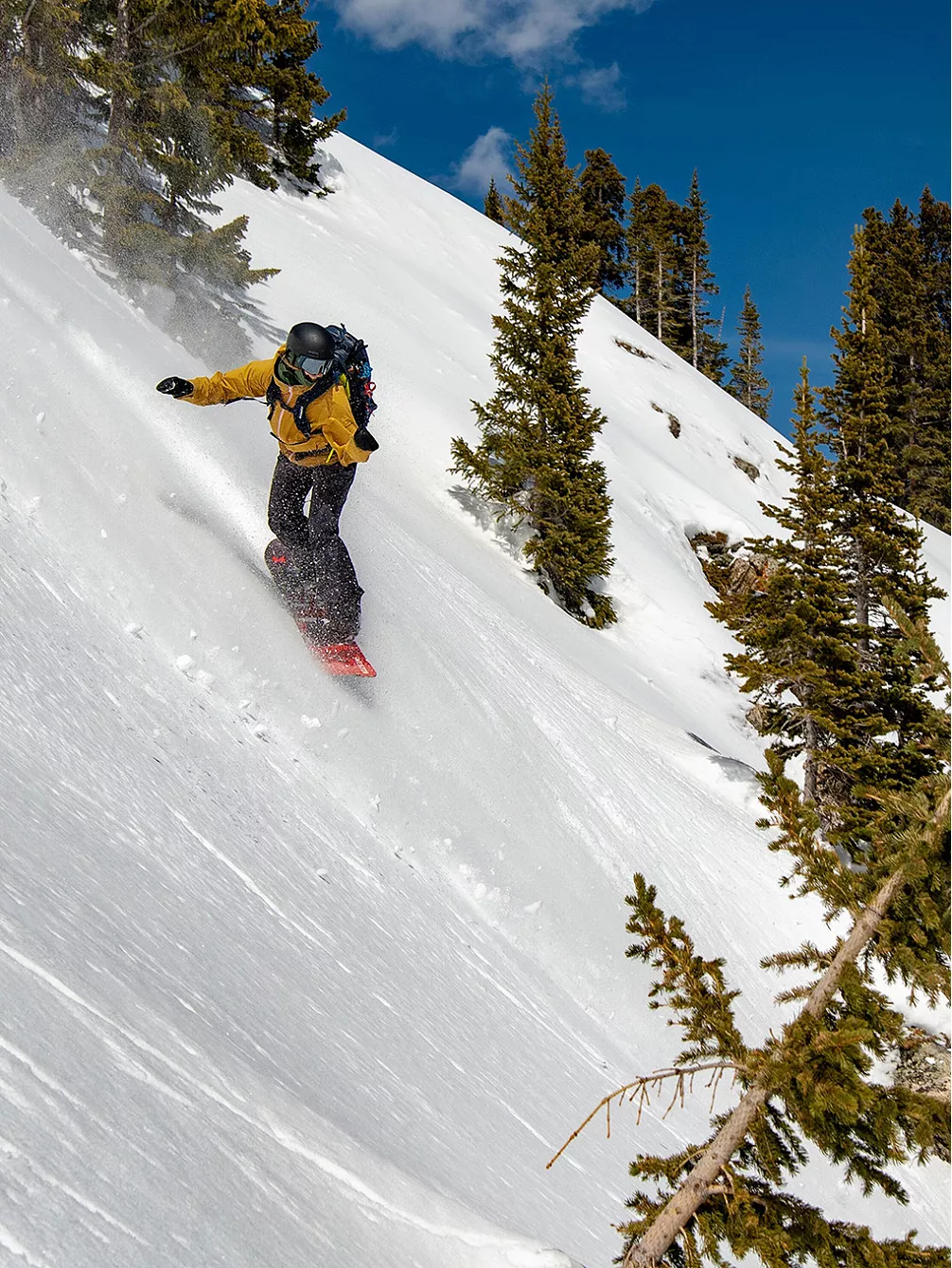 Weston Rise 143 Splitboard 5 Weston Rise 143 Splitboard – Bild 3