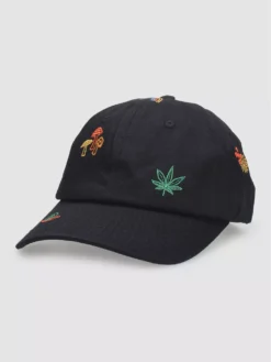 Empyre Roots Emb Dad Cap