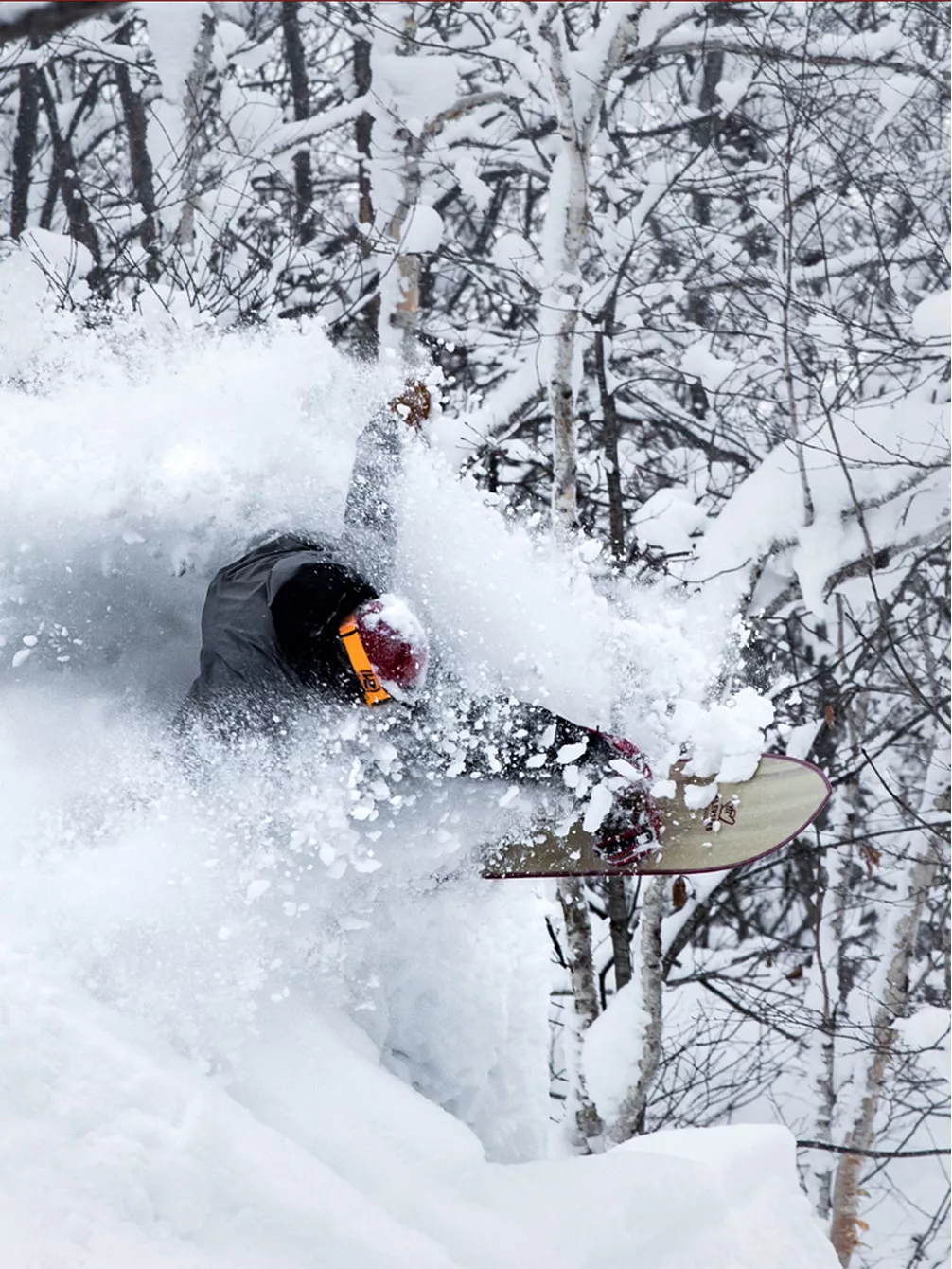 Elevated Surf Craft Shortboard 5'0 / 152,5 2023 Snowboard 4 Elevated Surf Craft Shortboard 5'0 / 152,5 2023 Snowboard – Bild 2