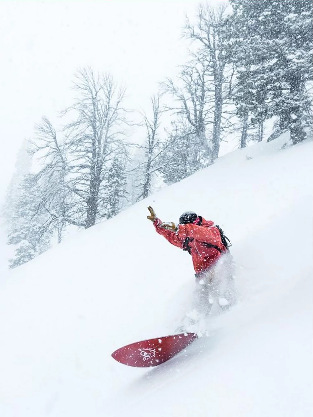 Elevated Surf Craft Shortboard 5'0 / 152,5 2023 Snowboard 6 Elevated Surf Craft Shortboard 5'0 / 152,5 2023 Snowboard – Bild 4