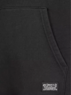 Levi's Skate Hoodie -Blue Tomato Verkäufe SkateHoodie 2