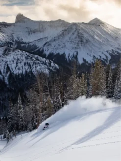 Jones Snowboards Solution 155 2023 Splitboard 11 Jones Snowboards Solution 155 2023 Splitboard -Blue Tomato Verkäufe Solution1552023Splitboard 2