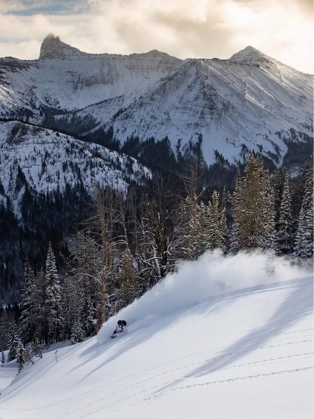 Jones Snowboards Solution 155 2023 Splitboard 5 Jones Snowboards Solution 155 2023 Splitboard – Bild 3