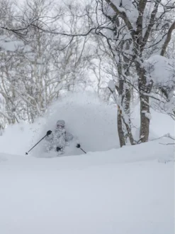 Armada X Oyuki 106 UL 172 2023 Ski 11 Armada X Oyuki 106 UL 172 2023 Ski -Blue Tomato Verkäufe XOyuki106UL1722023Ski 3