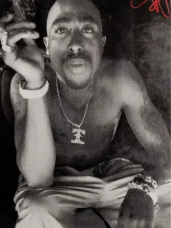 Primitive X Tupac Smoke T-Shirt -Blue Tomato Verkäufe XTupacSmokeTShirt 2